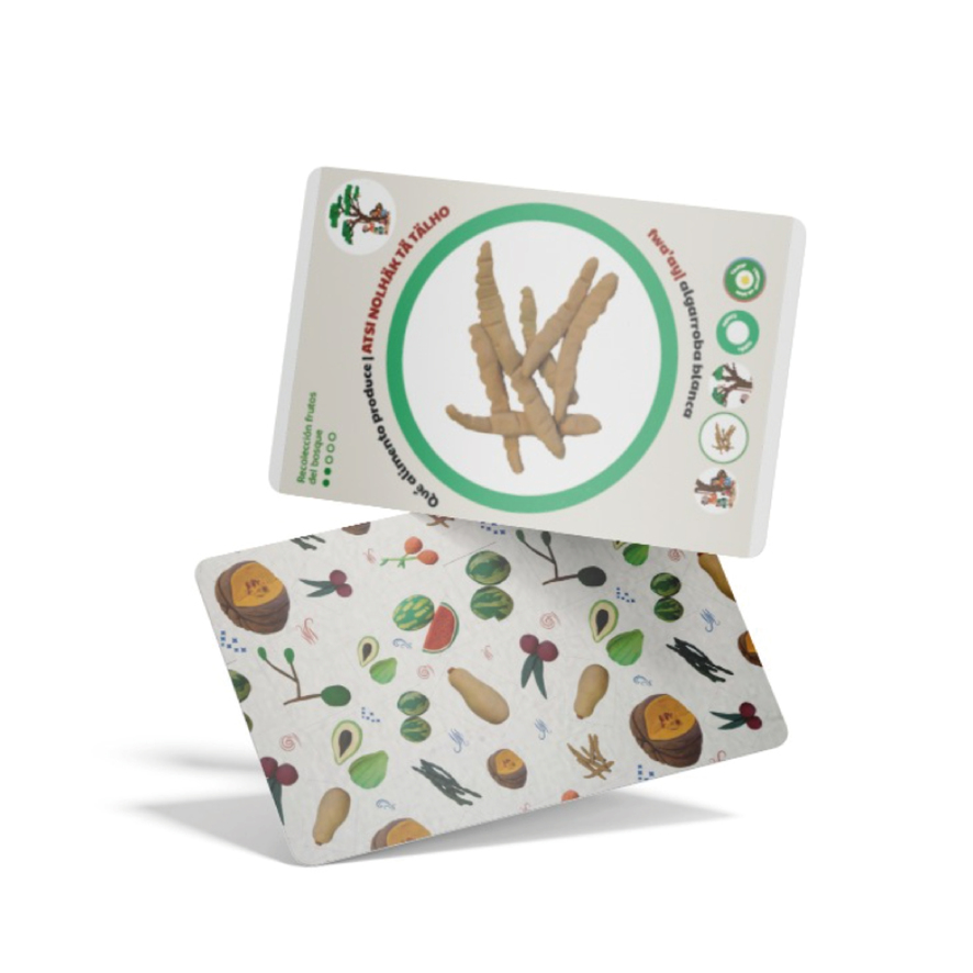 Cartas Comidas del Pueblo Wichi